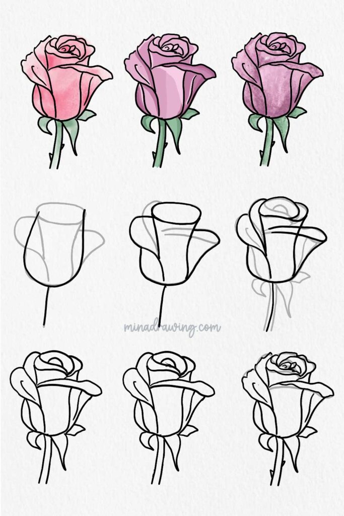 Easy Rose Drawing Step By Step How To Draw How To Sketch A Rose Easy Rose Drawing Step By Step How To Draw How To Sketch A Rose